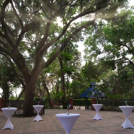 Hilton Garden Inn Tampa East Brandon Mango Ngoại thất bức ảnh