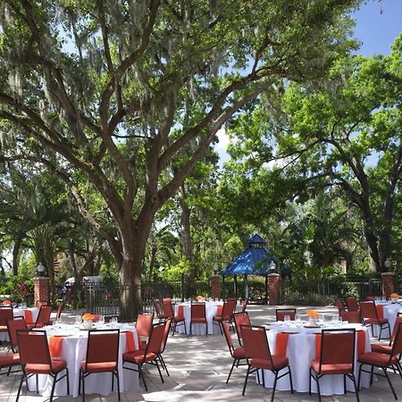 Hilton Garden Inn Tampa East Brandon Mango Ngoại thất bức ảnh