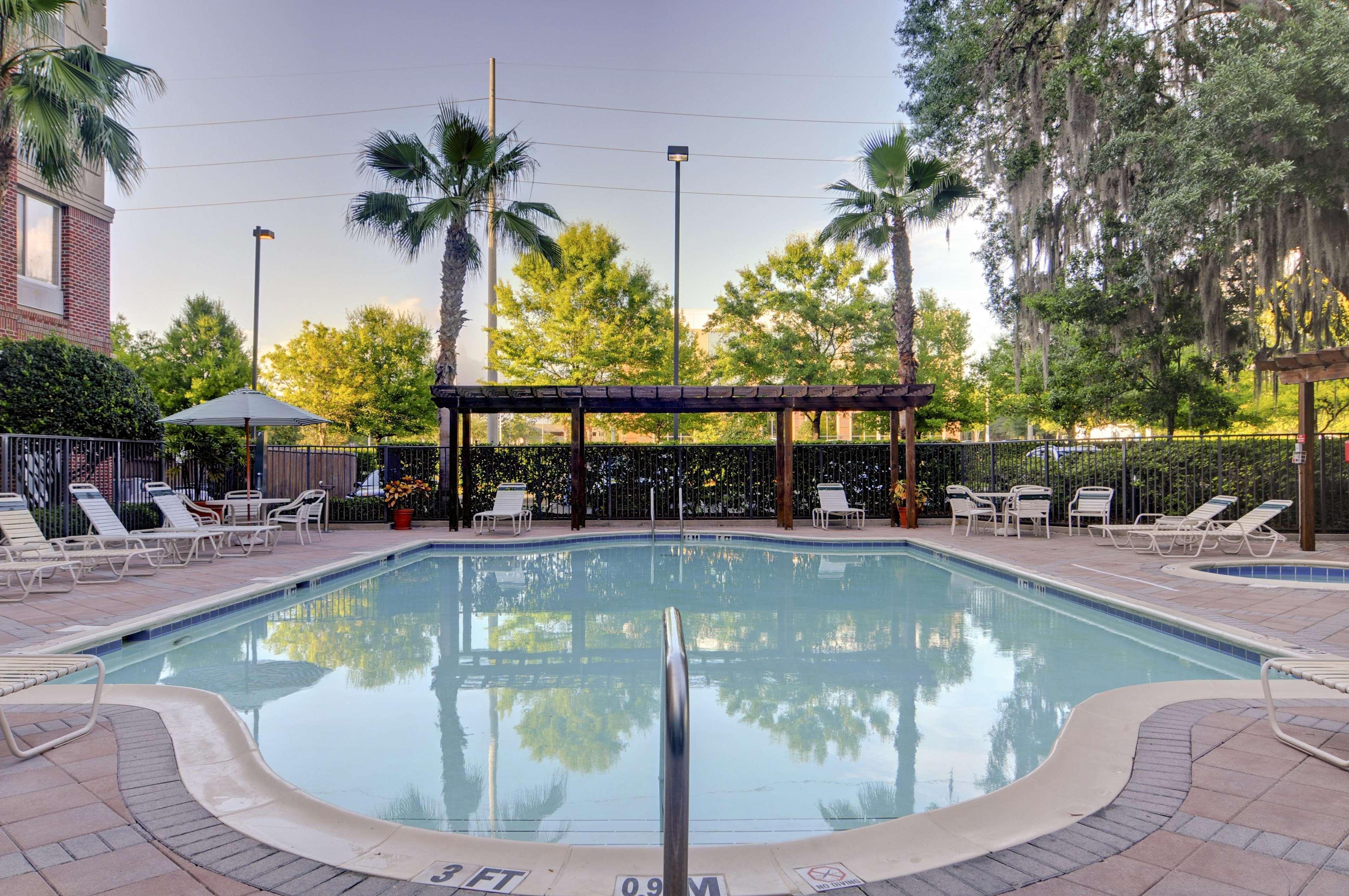 Hilton Garden Inn Tampa East Brandon Mango Ngoại thất bức ảnh