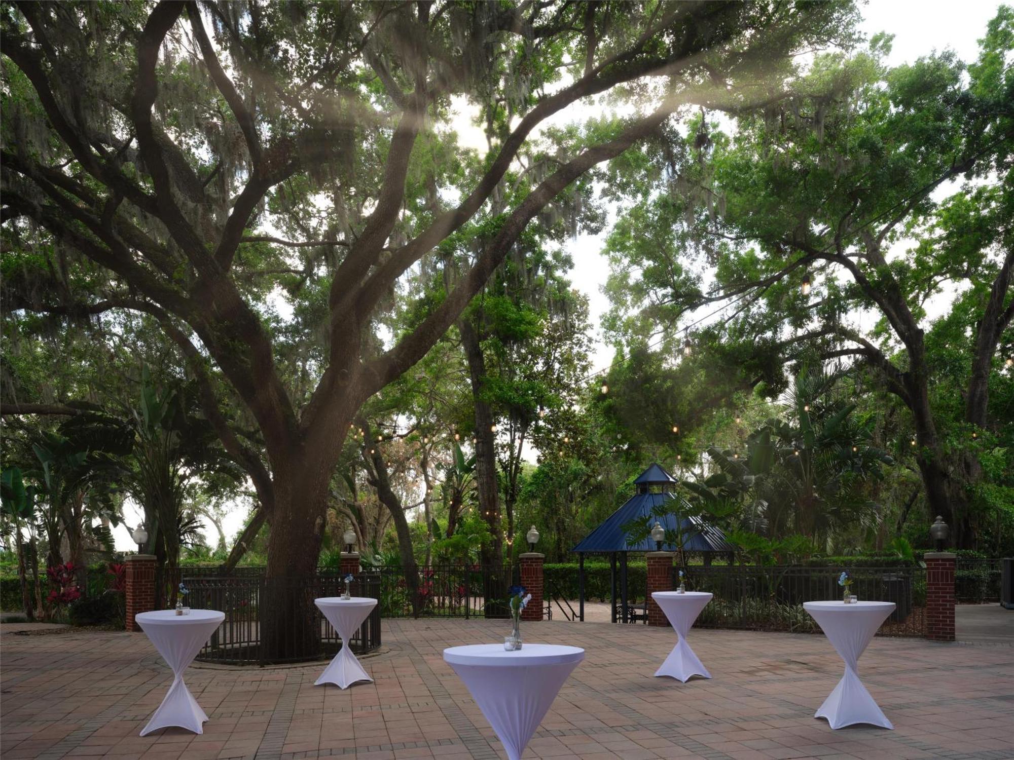 Hilton Garden Inn Tampa East Brandon Mango Ngoại thất bức ảnh