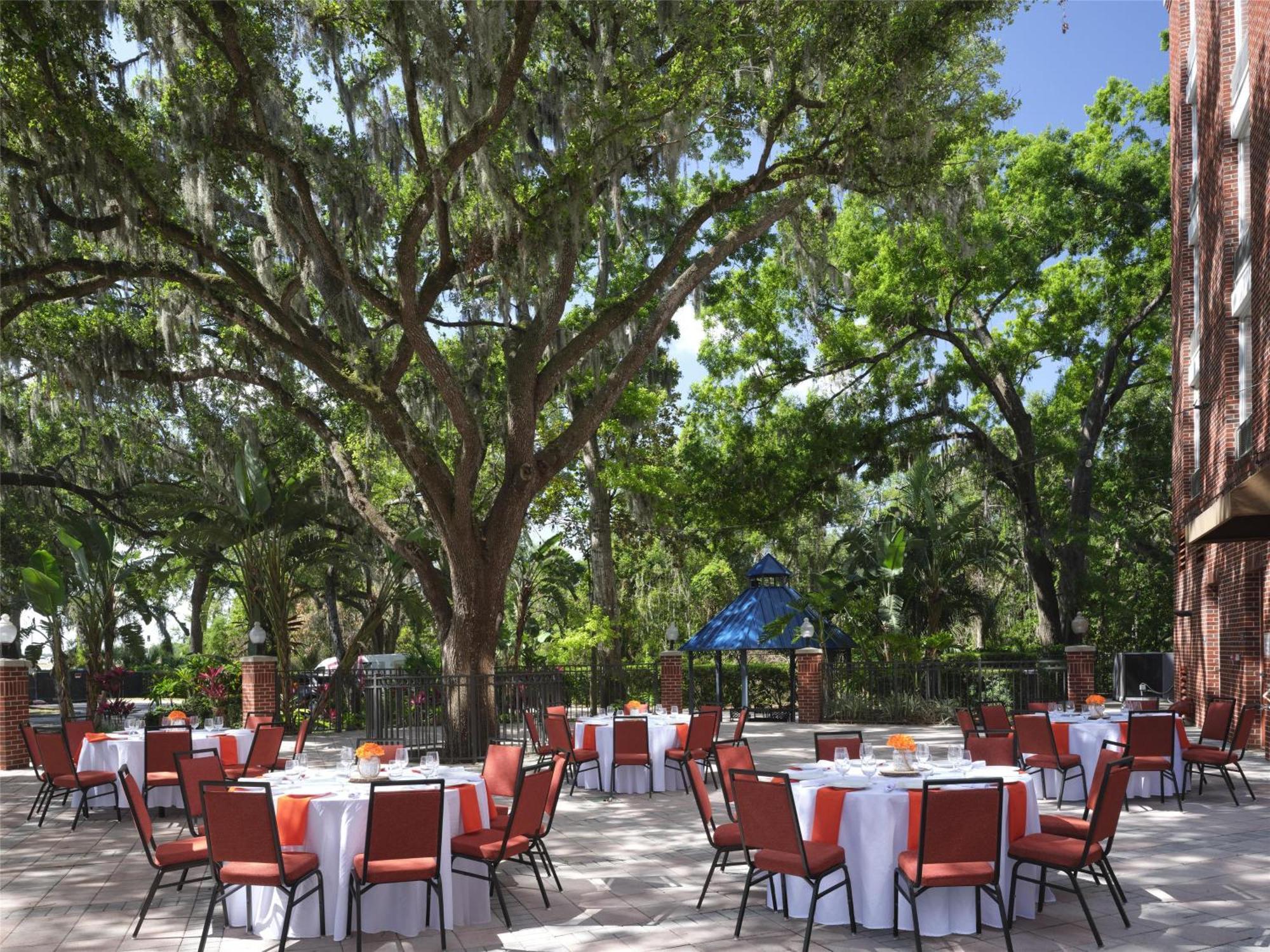 Hilton Garden Inn Tampa East Brandon Mango Ngoại thất bức ảnh