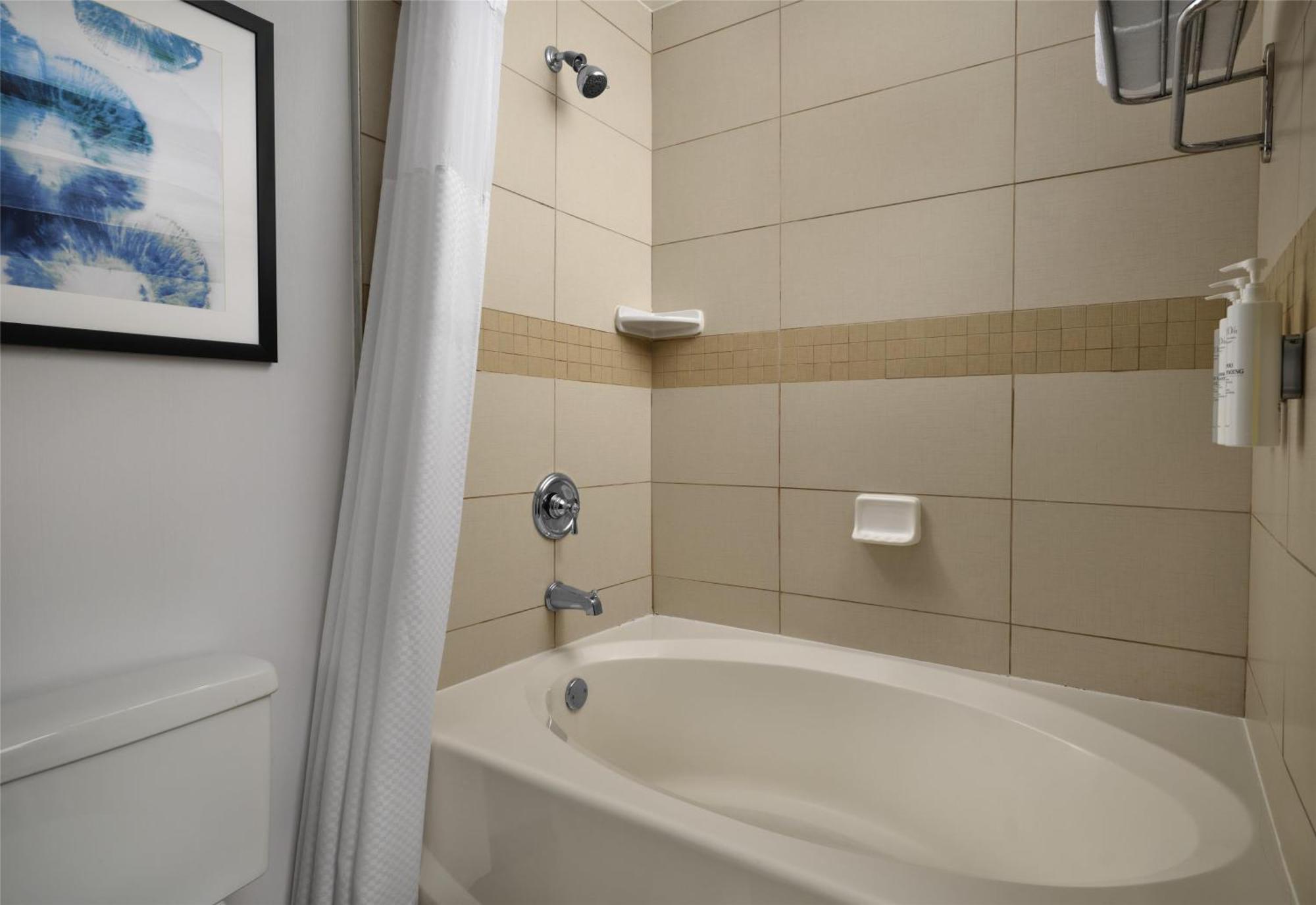 Hilton Garden Inn Tampa East Brandon Mango Ngoại thất bức ảnh